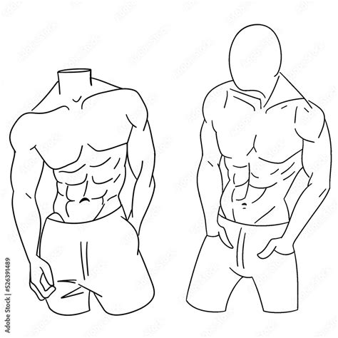 Athletic Man Torso Linear Illustrations Set Male Beauty With Perfect