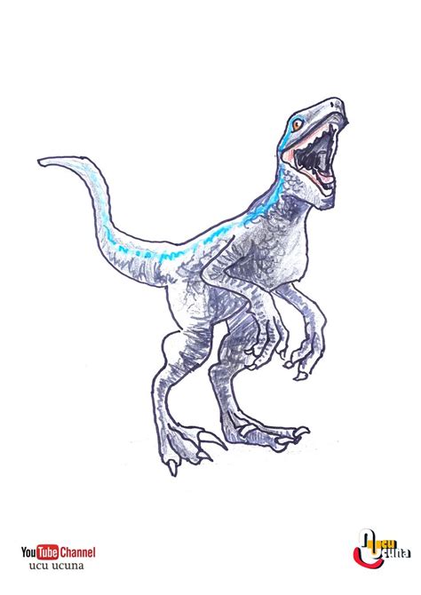 How To Draw Blue The Velociraptor From Jurassic World