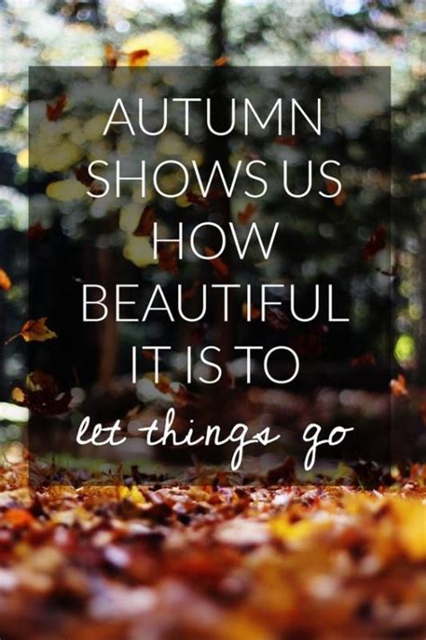 Autumn Shows Us How Beautiful It Is To Let Things Go Picture Quotes