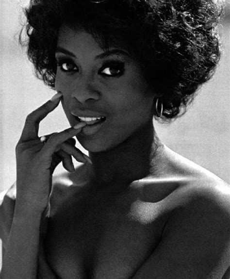 Lola Falana The Queen Of Las Vegas The Inspiration For Barry
