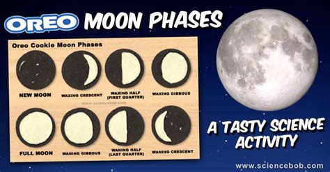 Oreo Cookie Moon Phases Oreo Moon Phases Moon