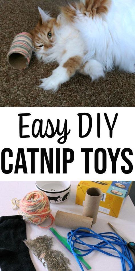 3 Super Easy Homemade Catnip Toys Your Cat Will Love Catnip Toys Diy