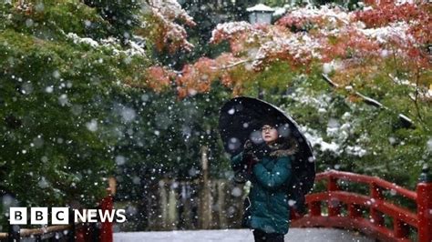 Tokyo Sees First November Snow In 54 Years Bbc News