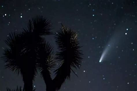 Yuk Kenali Bagian Bagian Komet Hingga Fenomena Yang Terjadi
