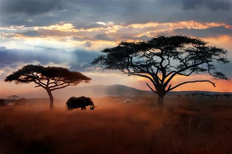 Serengeti National Park Travel Connections Ltd