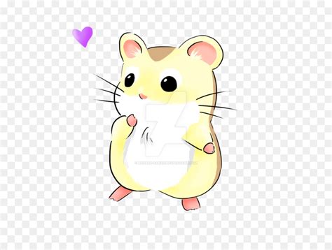 Dwarf Hamster Drawing At Getdrawings Free Download