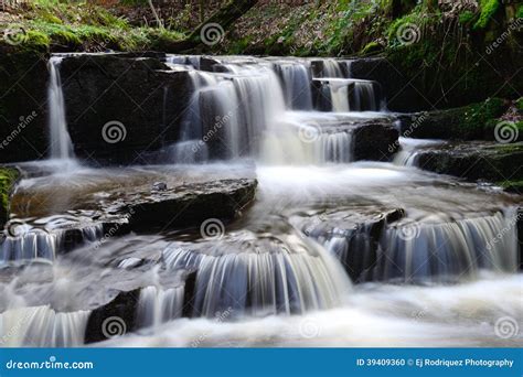 Woodland Waterfall Stock Photo Image Of Landscape Forest 39409360