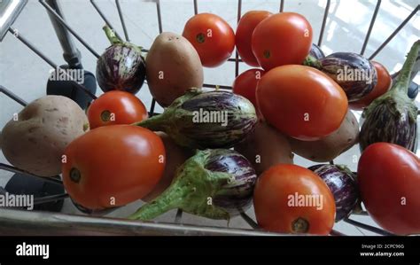 Tomato Basket Brinjal Hi Res Stock Photography And Images Alamy