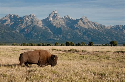 Andrews Camera Landscape Gallery An Iconic Image Of The Old West