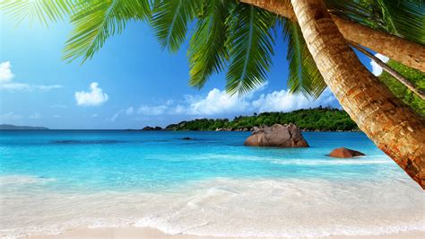 1920x1080 coast paradise summer tropical palm emerald sand blue beach ocean sea