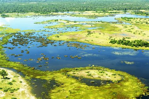 Okavango Delta Experience Touring With Trailfinders