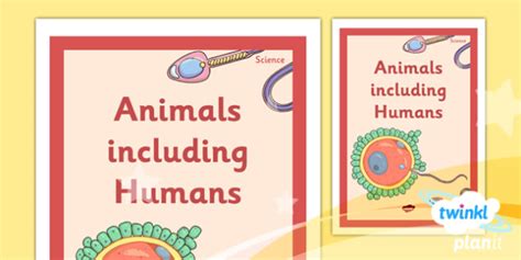 Science Animals Including Humans Year 5 Unit Book Cover