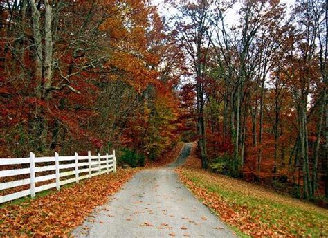 Beautiful Country Road Country Roads Pinterest Beautiful Country