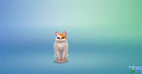 Luniversims Hamtaro Hamster By Blackwolfs646 • Sims 4 Downloads