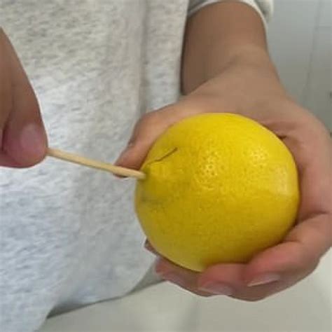 Squeezing Lemon Juice Without Seeds Limoneira
