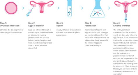 In Vitro Fertilisation Ivf Alpha Ivf And Womens Specialists