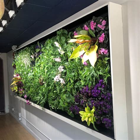 Benefits Of Living Walls In Your House Or Workspace Living Wall