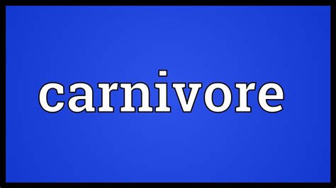 Carnivore Meaning Youtube