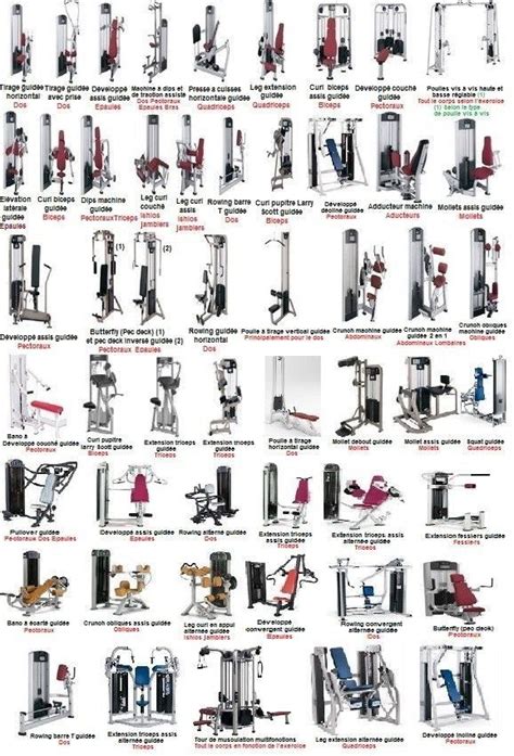 Types Of Machine Appareil Musculation Station Musculation Programme