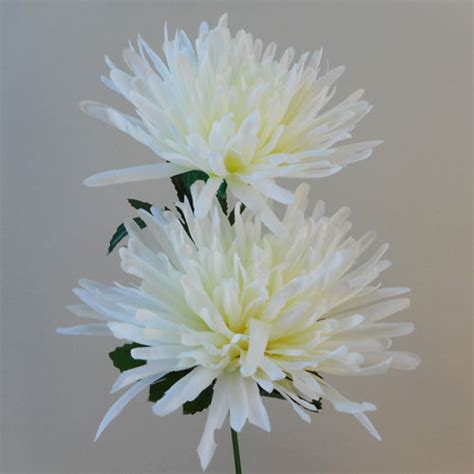 artificial spider chrysanthemums cream with green leaves 64cm silk flowers