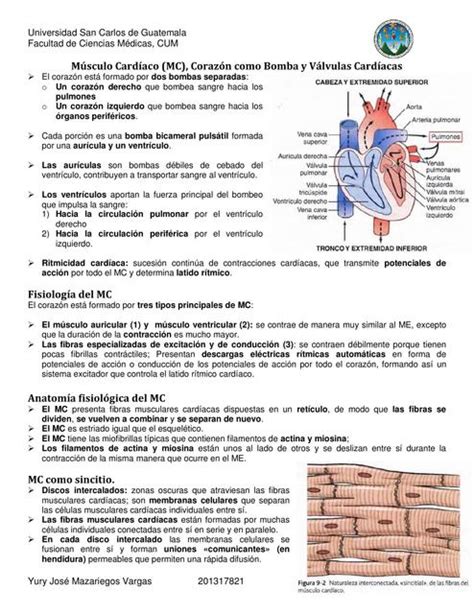 Músculo Cardíaco corazón y válvulas Merari Morales uDocz
