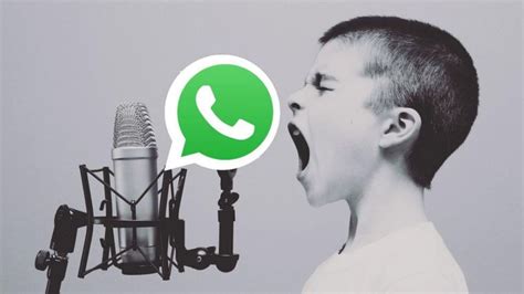 Como acelerar audio no whatsapp. Como acelerar a reprodução de mensagens de áudio no WhatsApp