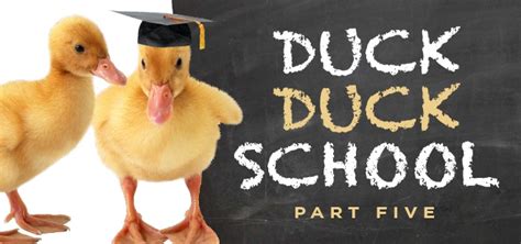 Duck Duck School Part 5 Kids Bible Stories Sunday School