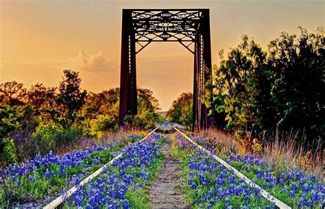 Signs Of Springtime In Texas That Are Sure To Brighten Your Day
