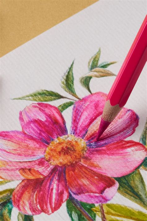Pin By Perfectly Georgia On Art 2 With Images Watercolor Pencils