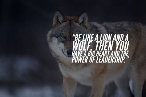 105 Inspirational Quotes About Wolves And Strength Best