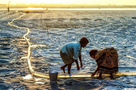 Winner Of Environmental Photographer Of The Year 2015 Captures Devastating Effects Of Climate