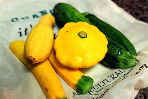 The Domestic Curator Summer Squash — Cooked Three Ways