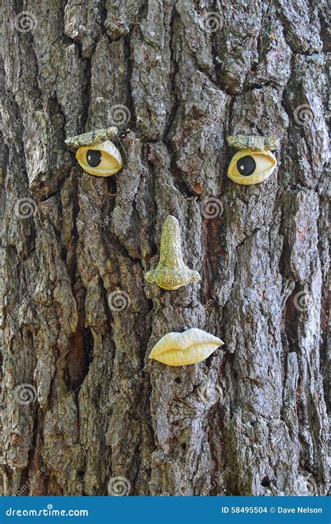 Funny Face On Tree Bark Stock Photo Image Of Artistic 58495504