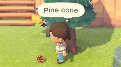 Animal Crossing New Horizons How To Get Pine Cones Quick Tip