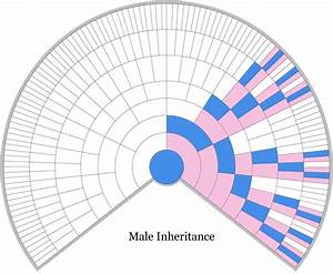  X Dna Inheritance Chart Thegeneticgenealogist Com X Chromosome