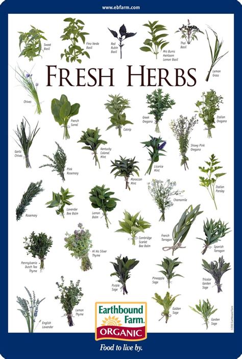 Herb Charts Printable Free