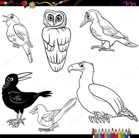 Página De Aves De Dibujos Animados Para Colorear — Archivo Imágenes