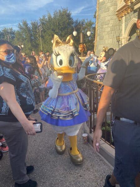 Donald Duck Gets Mad After Daisy Flirts With Disney World Guest