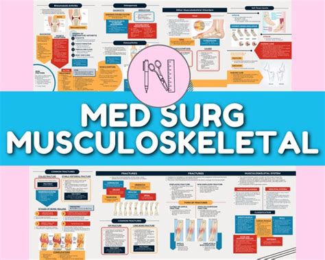 Musculoskeletal System 17 Pages Med Surg Nursing School Etsy Uk