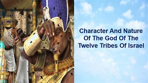 Flies In Egypt Hebrew Israelite Of The Seed Of Abraham Of The Tribe