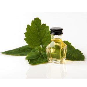 Do you know which essential oil is best for you ? Patchouli Essential Oil Manufacturers & Supplier | Vinayak ...