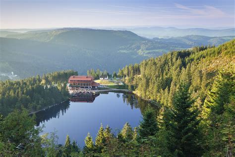 The romans were the first to use the name black forest.the roman soldiers were walking through germany and their path was blocked by a dark, dense. The Top Things to Do in the Black Forest, Germany