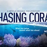 Chasing Coral – A Netflix Original documentary