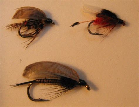 Wet Flies Vs Dry Flies Difference And Comparison