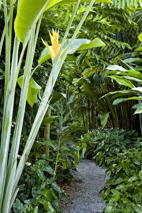 24 Best Awesome Tropical Garden Landscaping Ideas