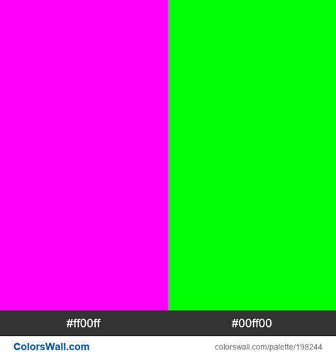 Magenta Green Colors Palette Colorswall