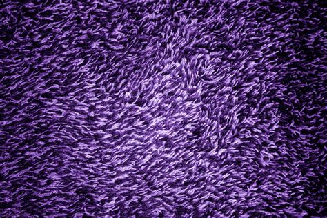 Purple Fur Wallpapers Wallpaper Cave