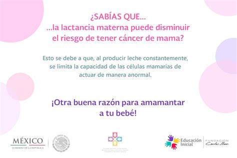 ¿sabías Que La Lactancia Materna Puede Disminuir El Riesgo De Tener Cáncer De Mama Consejo