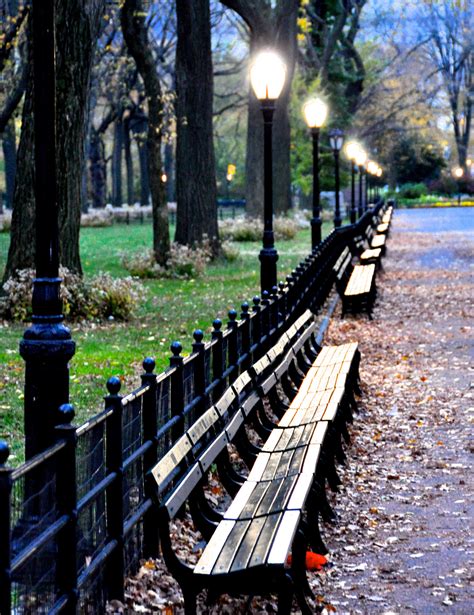 Flickrpphcldv Central Park Benches Autumn Morning Walk