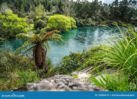 Blue River In The Jungle Stock Photo Image Of Water 132804510